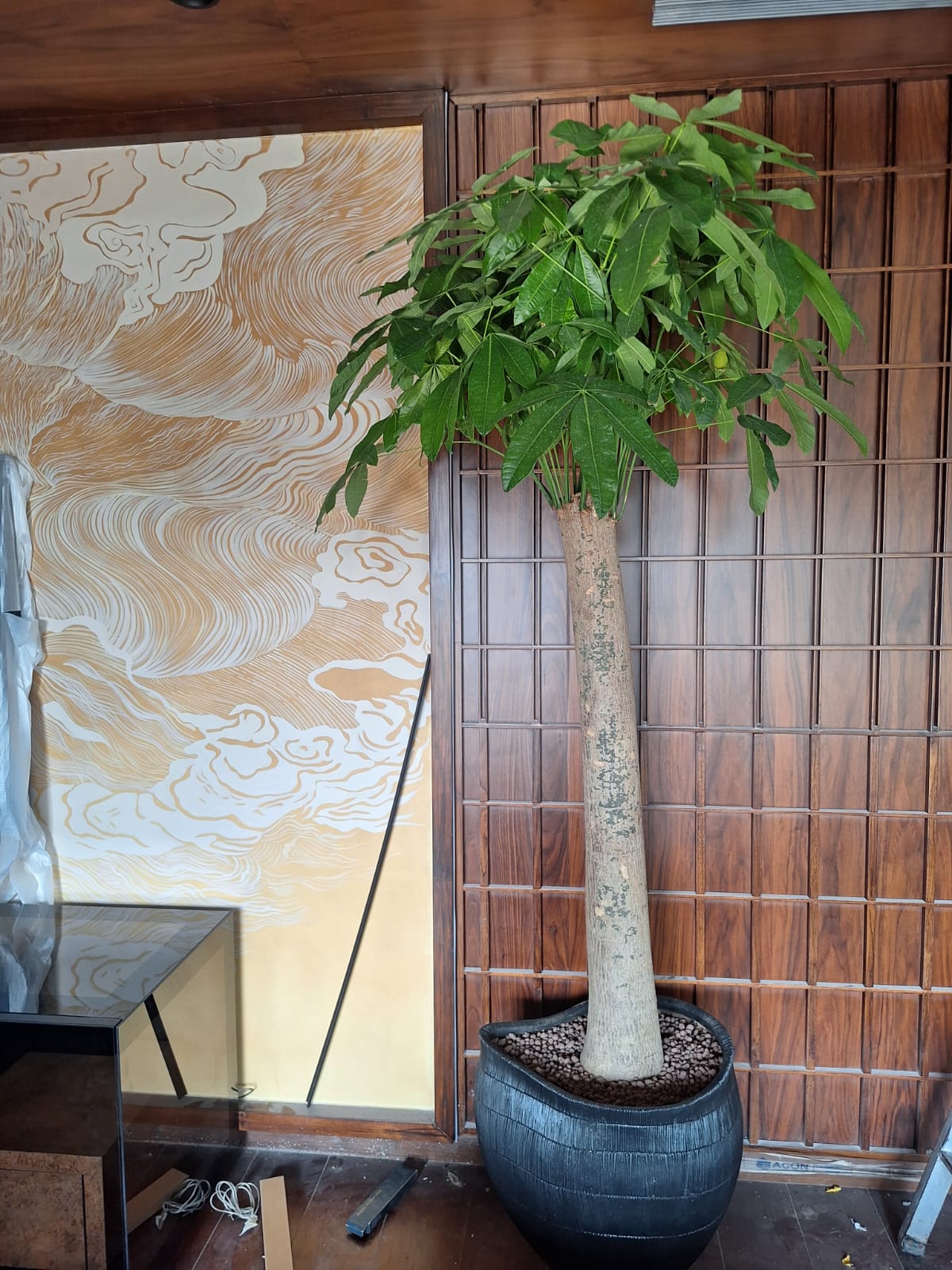 Indoor Tree Entry Design