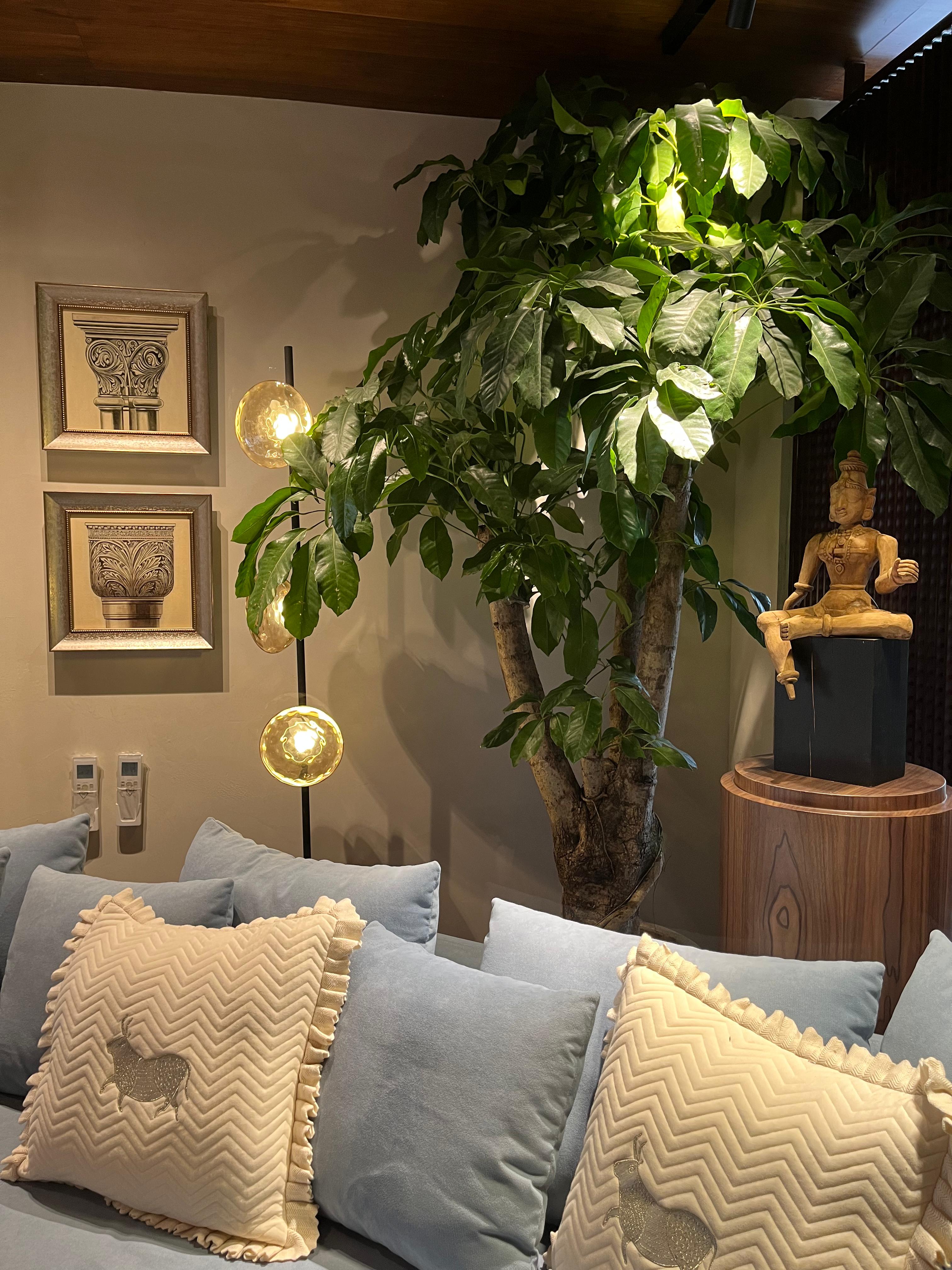 Premium Interior Landscape