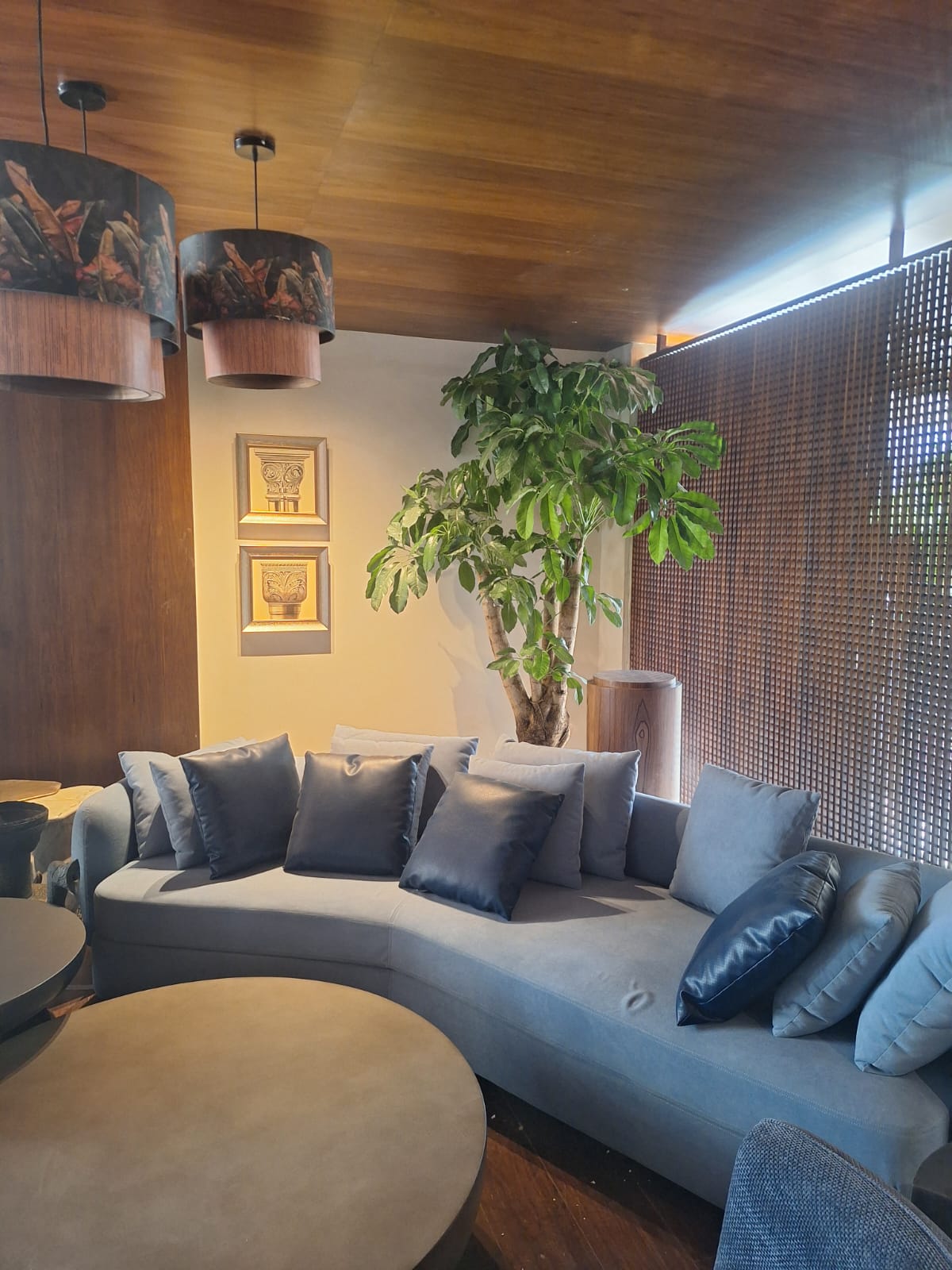 Modern Interior Living Wall