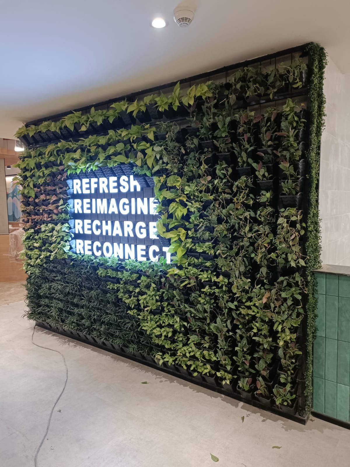 Living Wall with Neon Signage